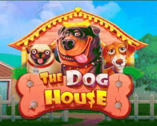Play The Dog House in John Vegas Casino